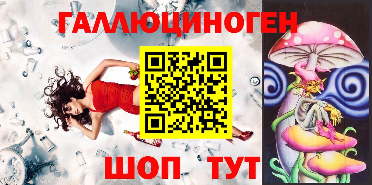 Артём  Псилоцибиновые грибы GOLDEN TEACHER  Вход с VPN 