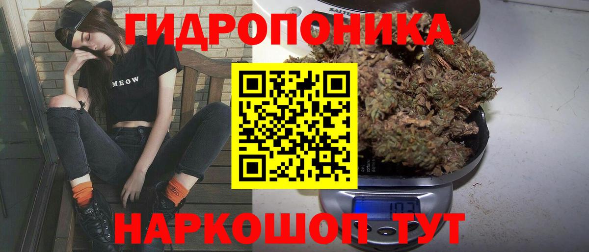 Конопля OG Kush  Бошки марихуана VHQ  Шишки марихуана тримм  Артём  Вход с VPN 